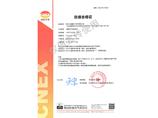 便携式91视频下载网站检测仪