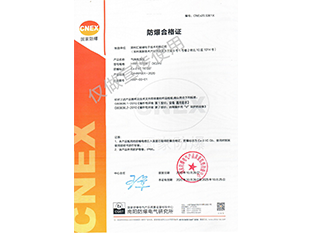 91视频下载网站检测仪
